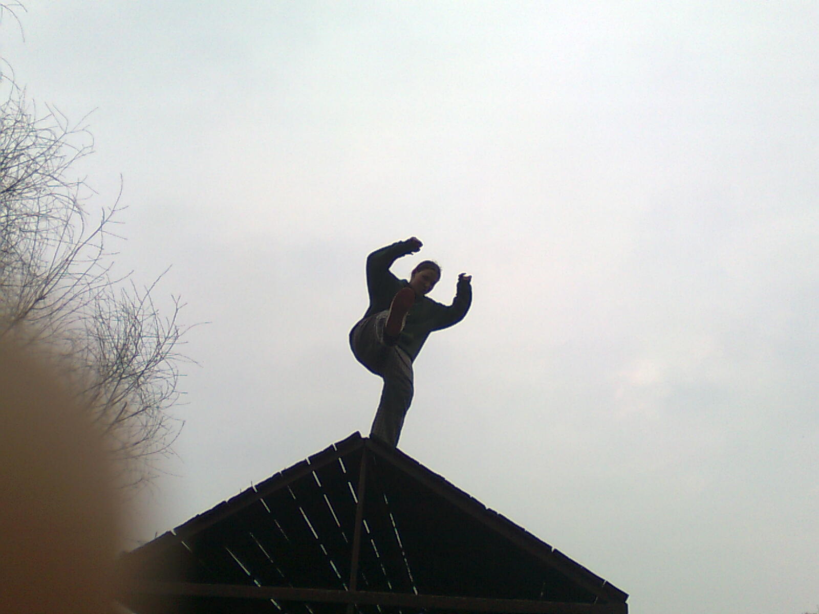 Gou040.jpg
